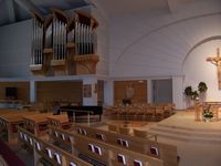 Organ View